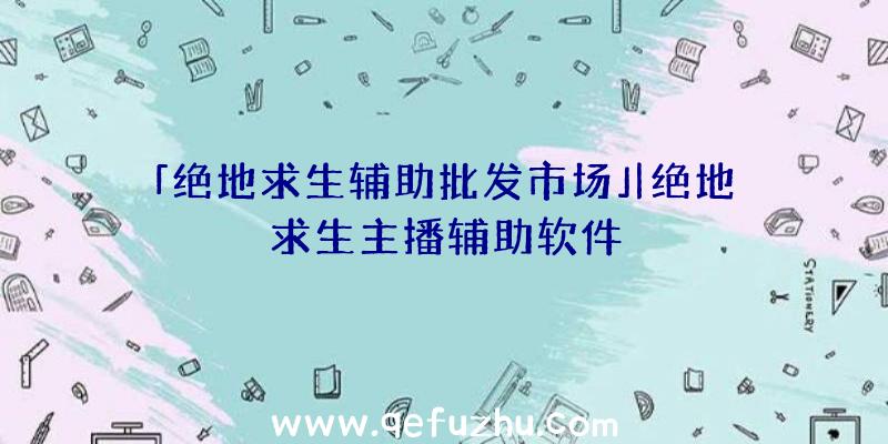 「绝地求生辅助批发市场」|绝地求生主播辅助软件